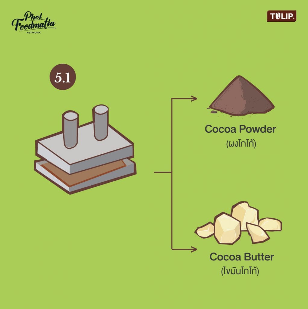 How cocoa & chocolate is made